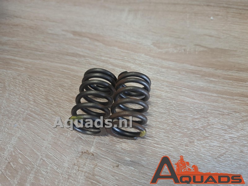 klep veren set Shineray 300STE
